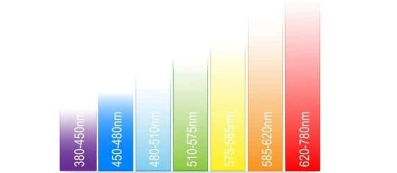 Ánh sáng sinh học là gì? Ứng dụng trong đời sống