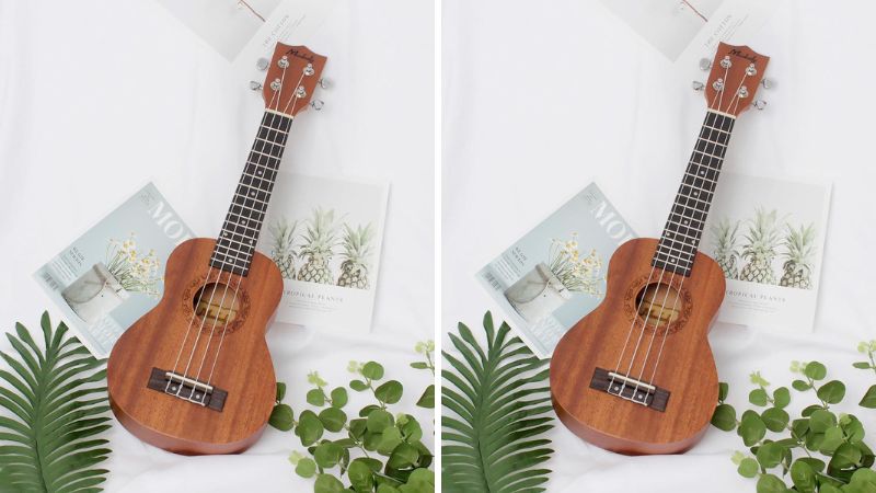 Đàn Ukulele Moukey 21B-BR