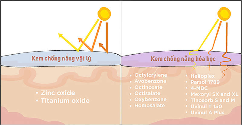 Cơ chế hoạt động