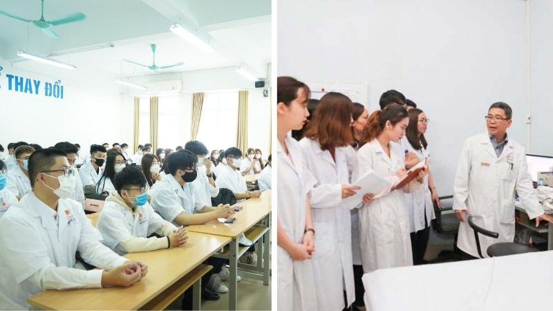 Ngành y khoa học gì?