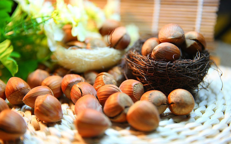 Hạt Hazelnut là gì? Tác dụng và cách ăn hạt Hazelnut sao cho đúng