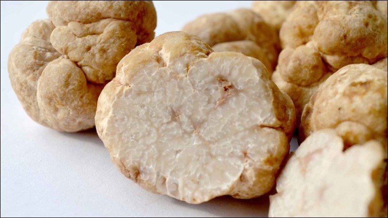 Nấm truffle trắng mùa đông